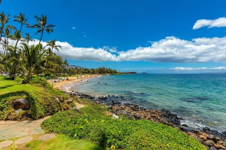 Gorgeous Oceanfront Condo! - Kamaole Nalu #504