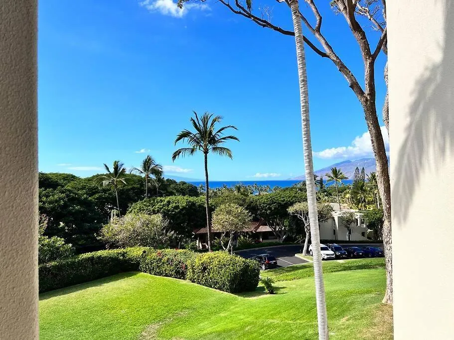 Beautiful Palms At Condo! Wailea (Maui)