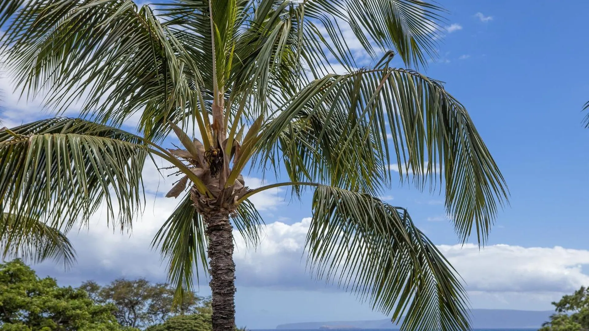 Maui Vista By Coldwell Banker Island Vacations *