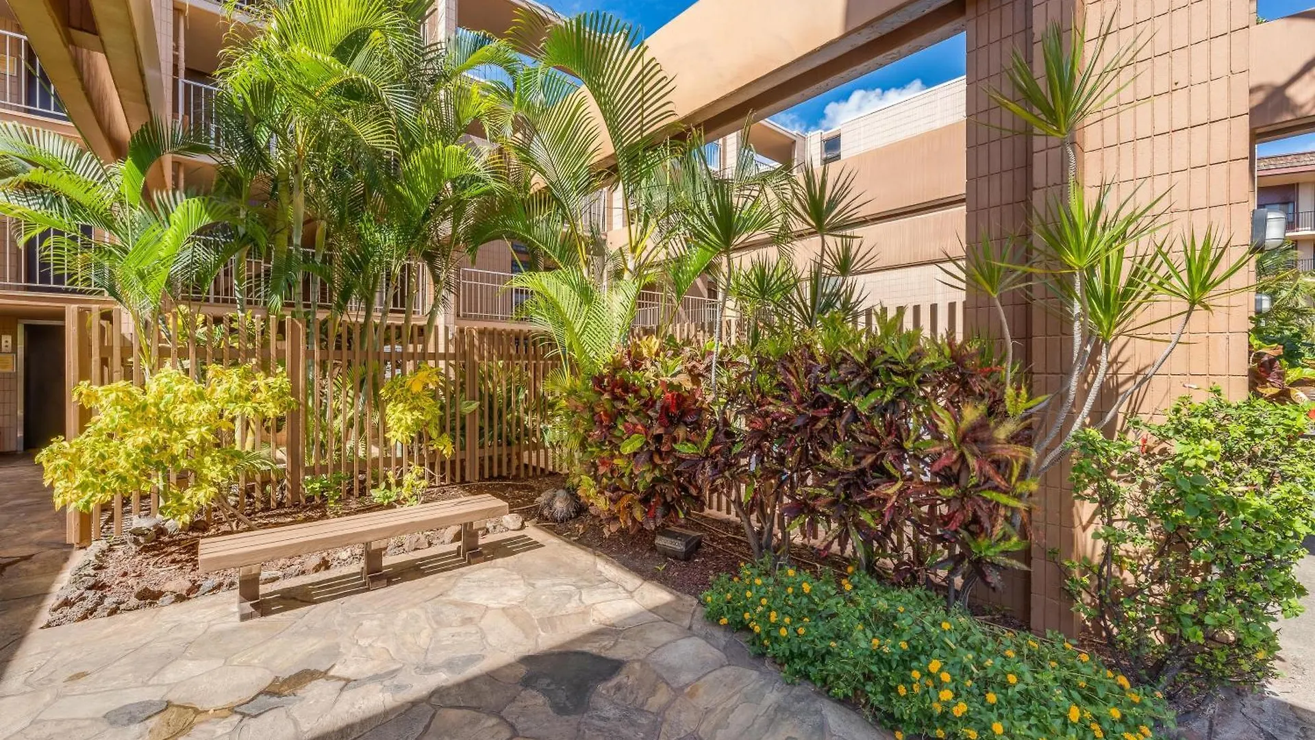 .kaleialoha 208