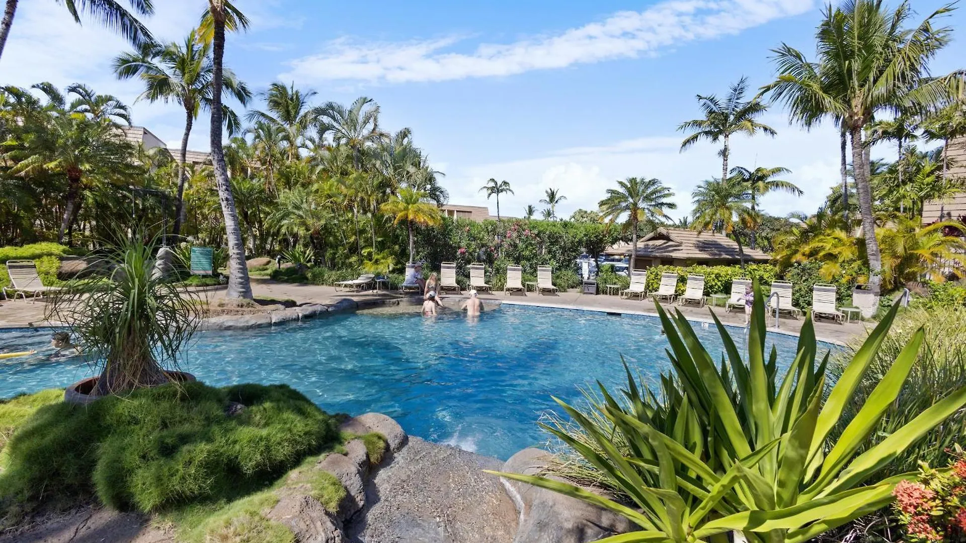 شقة New Tropical Paradise 1bed 2bath Oasis At The Pool *