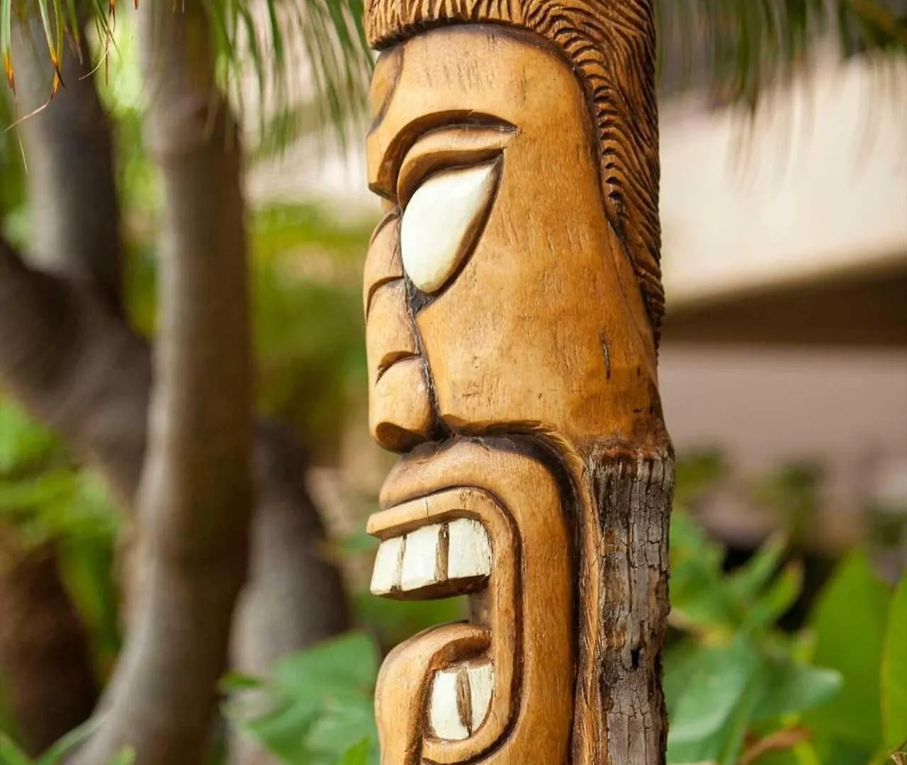 Vakantiehuis Kihei Akahi - Unit D605