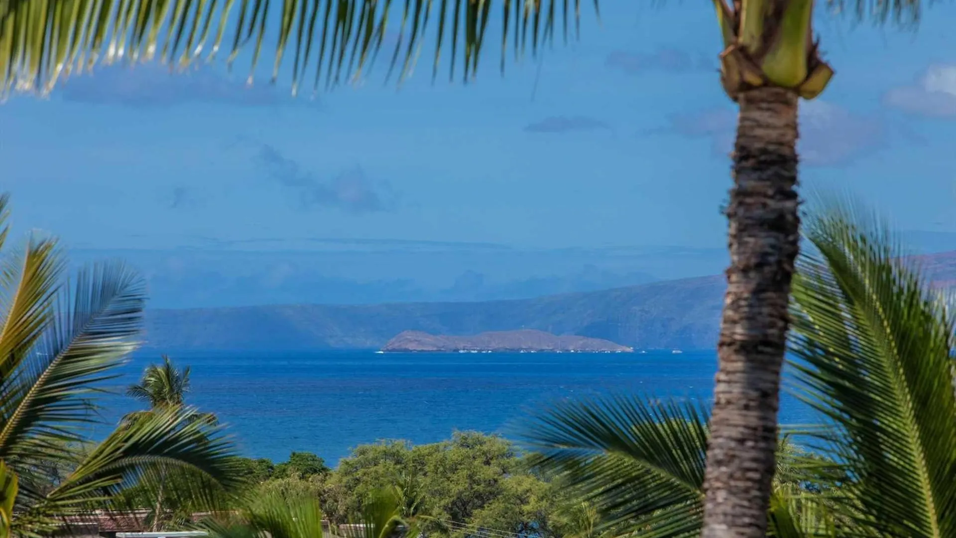 Kihei Akahi - Unit D605 * Wailea (Maui)