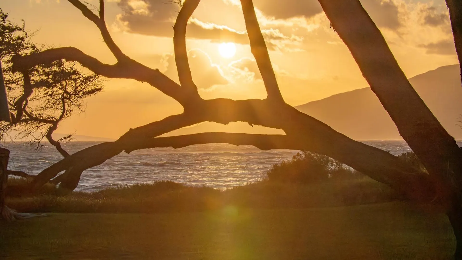 Aloha Aku Hula - Find Peace By The Shore Apartament *