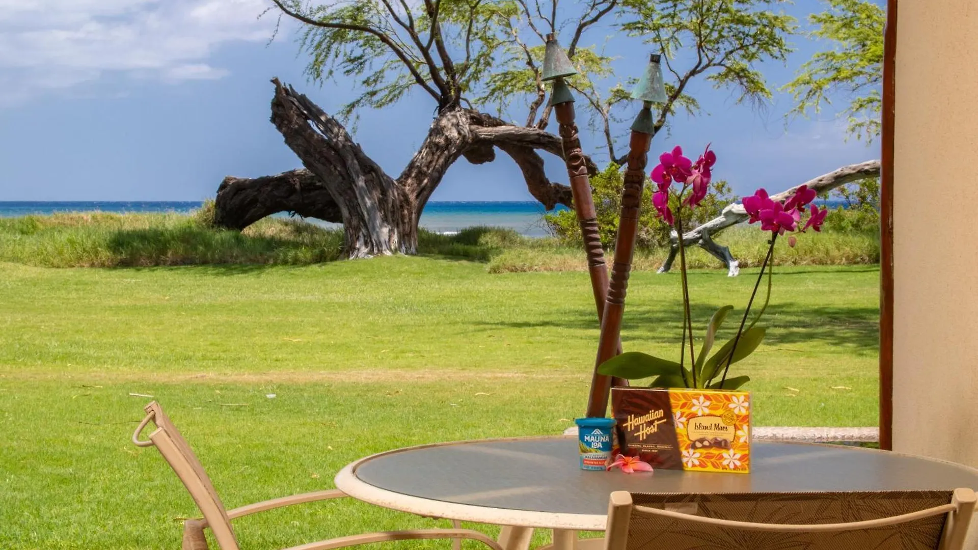 Aloha Aku Hula - Find Peace By The Shore
