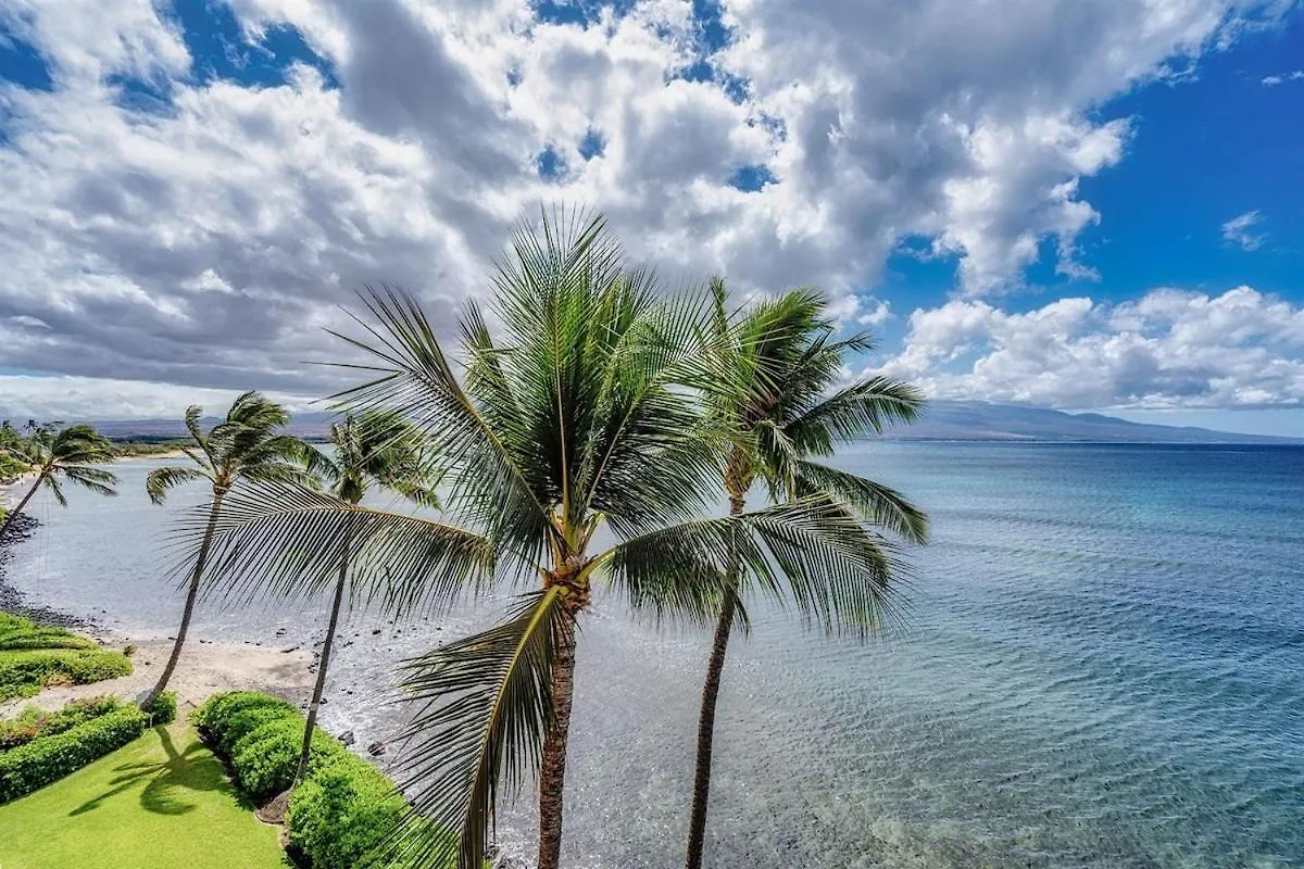 Spacious Oceanfront — Big Views — Remodeled 2022