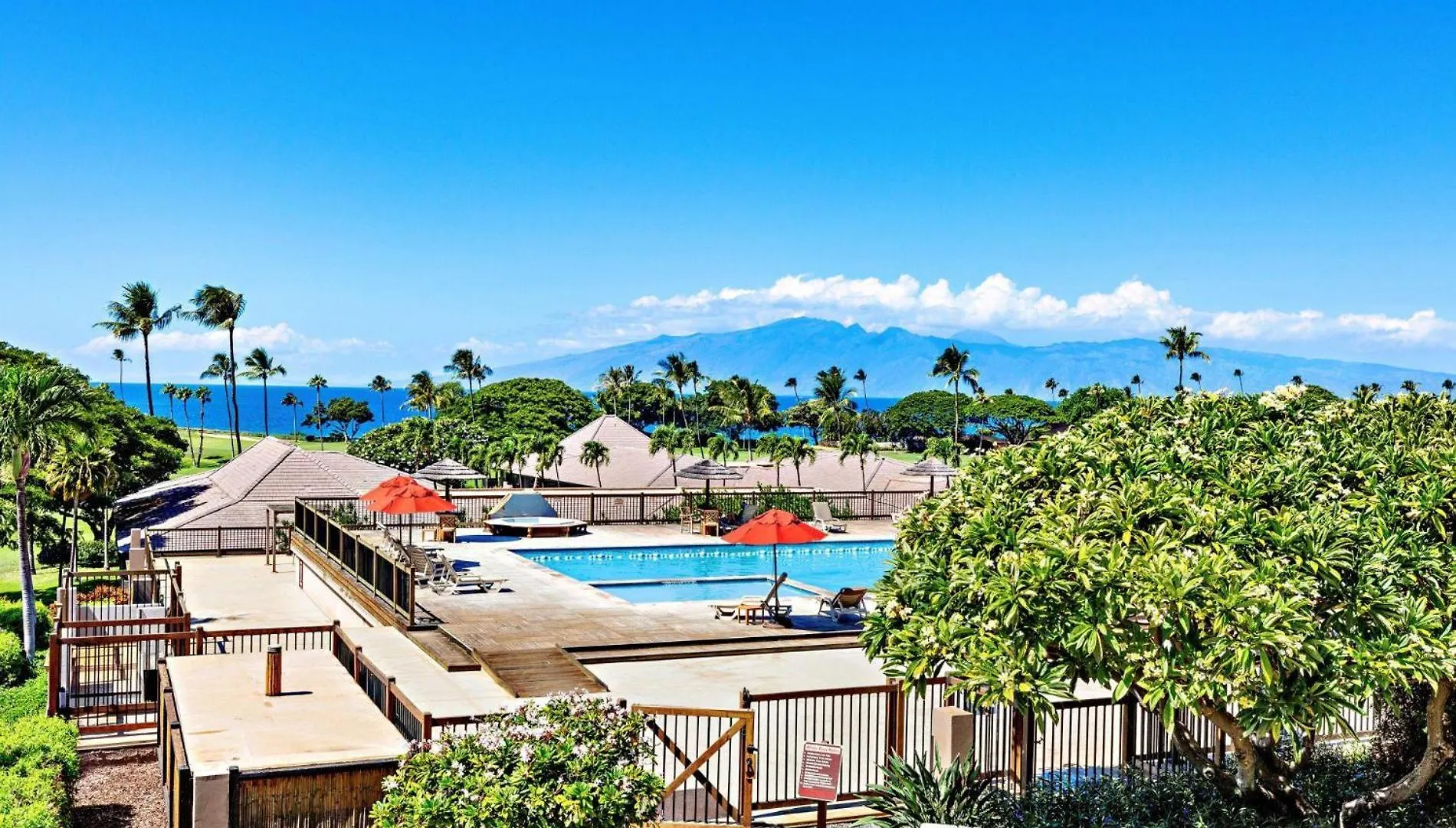 Maui Eldorado F203