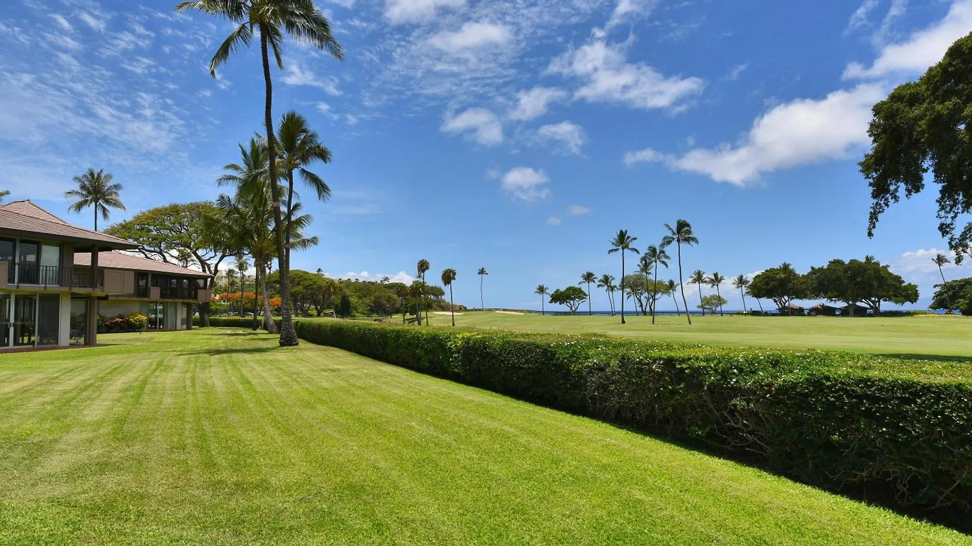 Maui Eldorado J123