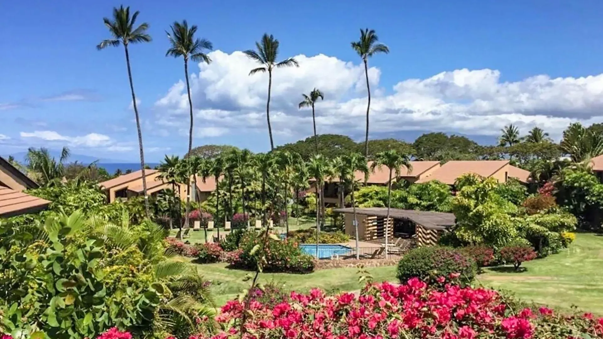 Ekahi 45d - Ocean Views, Split Ac, Wi-fi * Wailea (Maui)