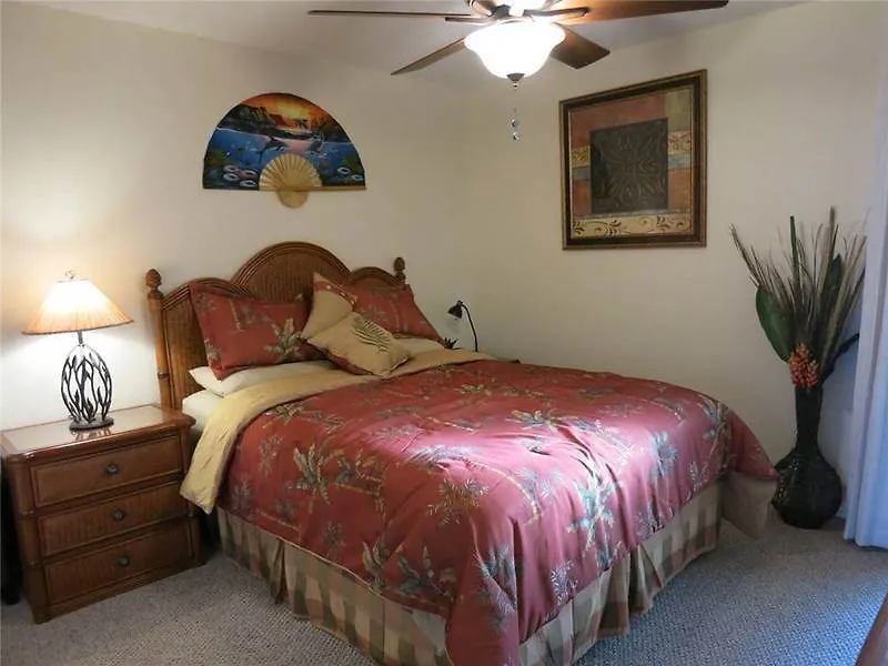 Maui Vista By Maui And Lejlighedshotel 2*
