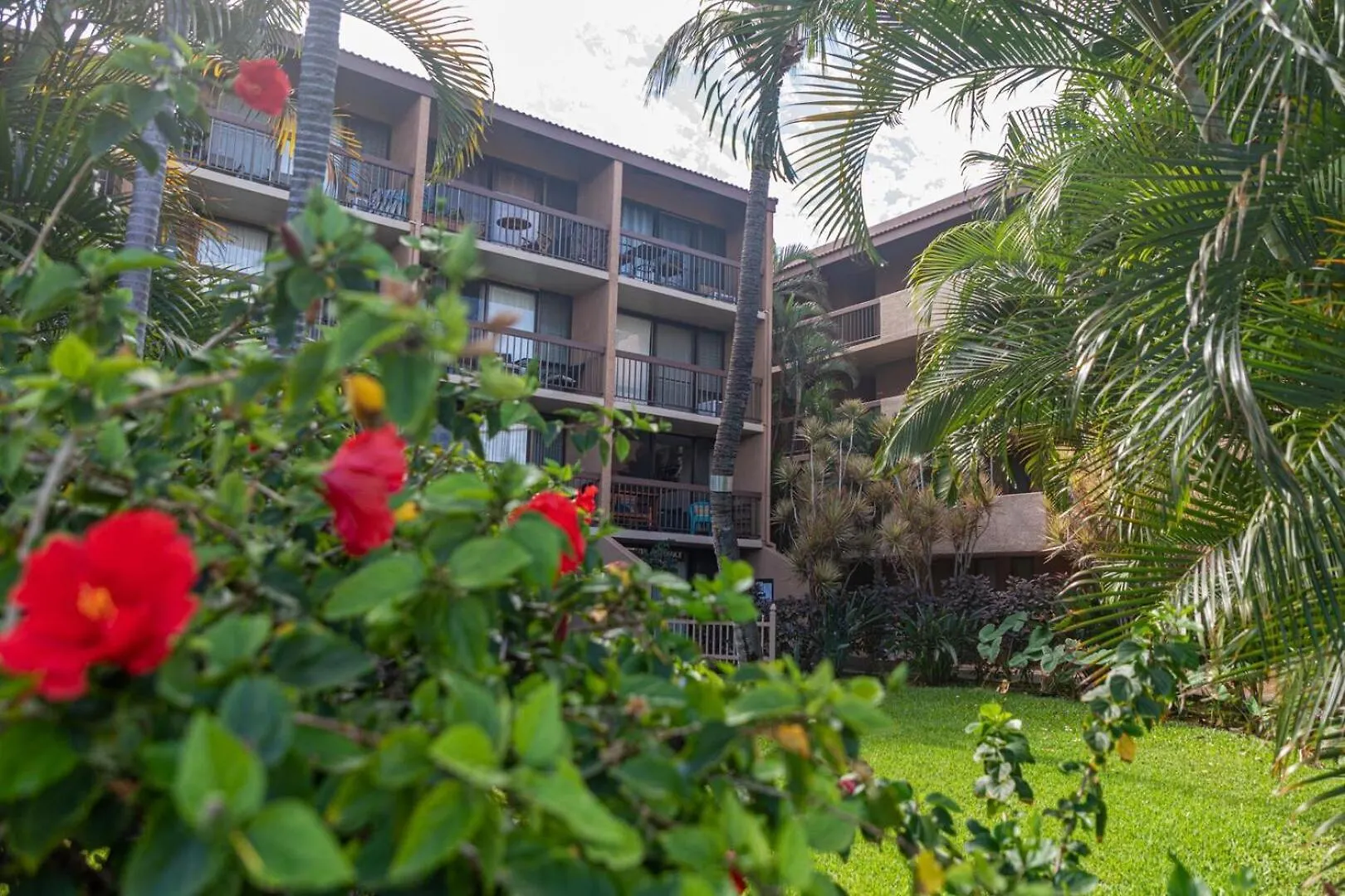 Maui Vista 1403 Vakantiehuis *