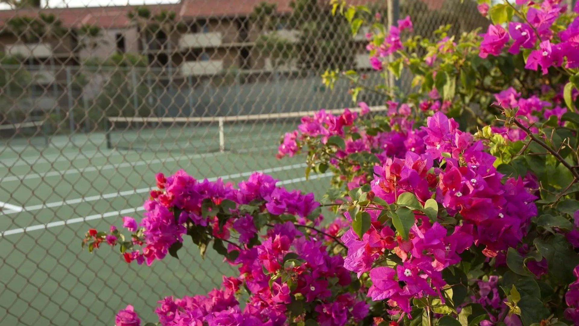Maui Vista By Coldwell Banker Island Vacations Kihei