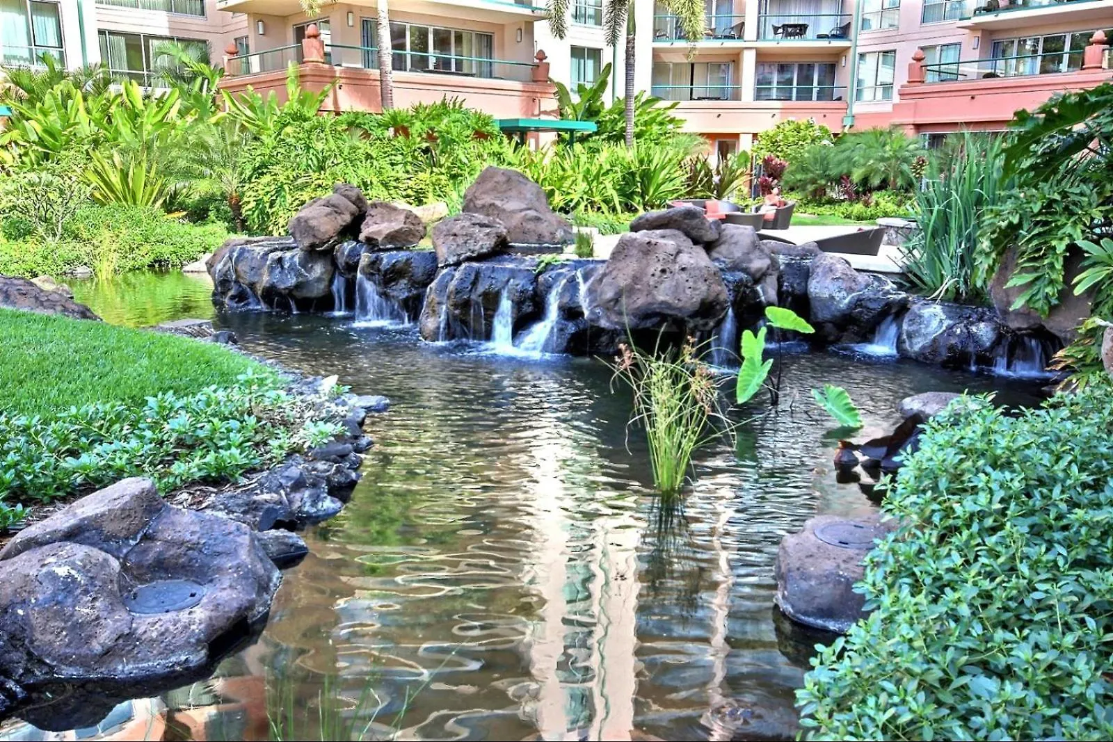 Kbm Free Car Honua Kai Hokulani Ocean View 2bedroom Hkh-423 Gorgeous With Ocean Views 公寓 *