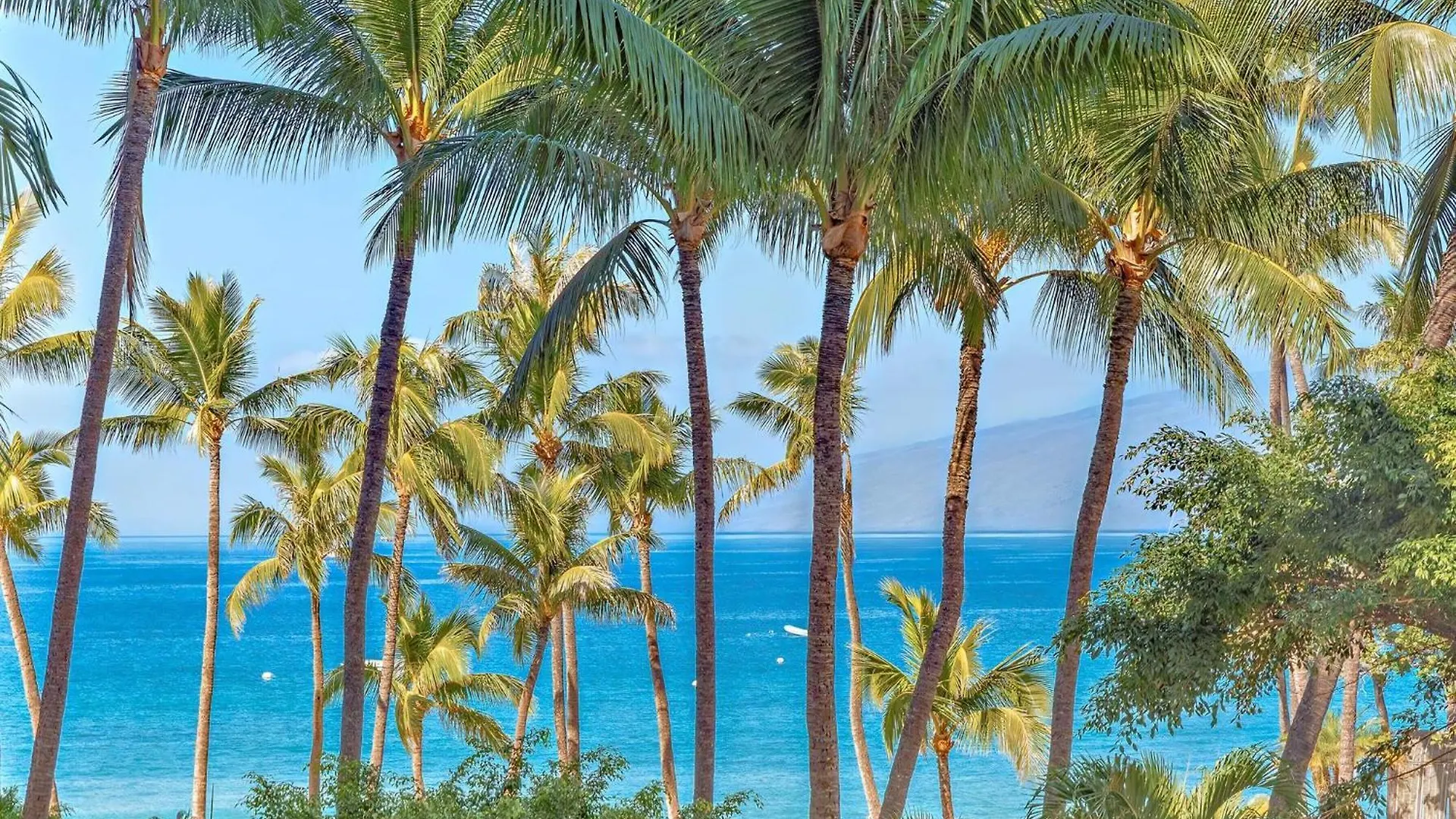 The Kaanapali Alii By Maui Resort Lahaina