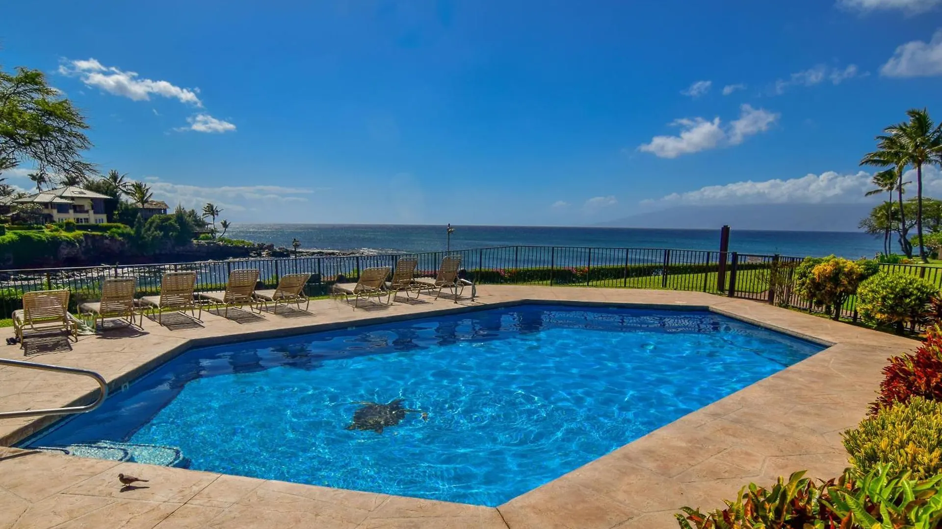 Napili Point A8 Holiday home Kahana