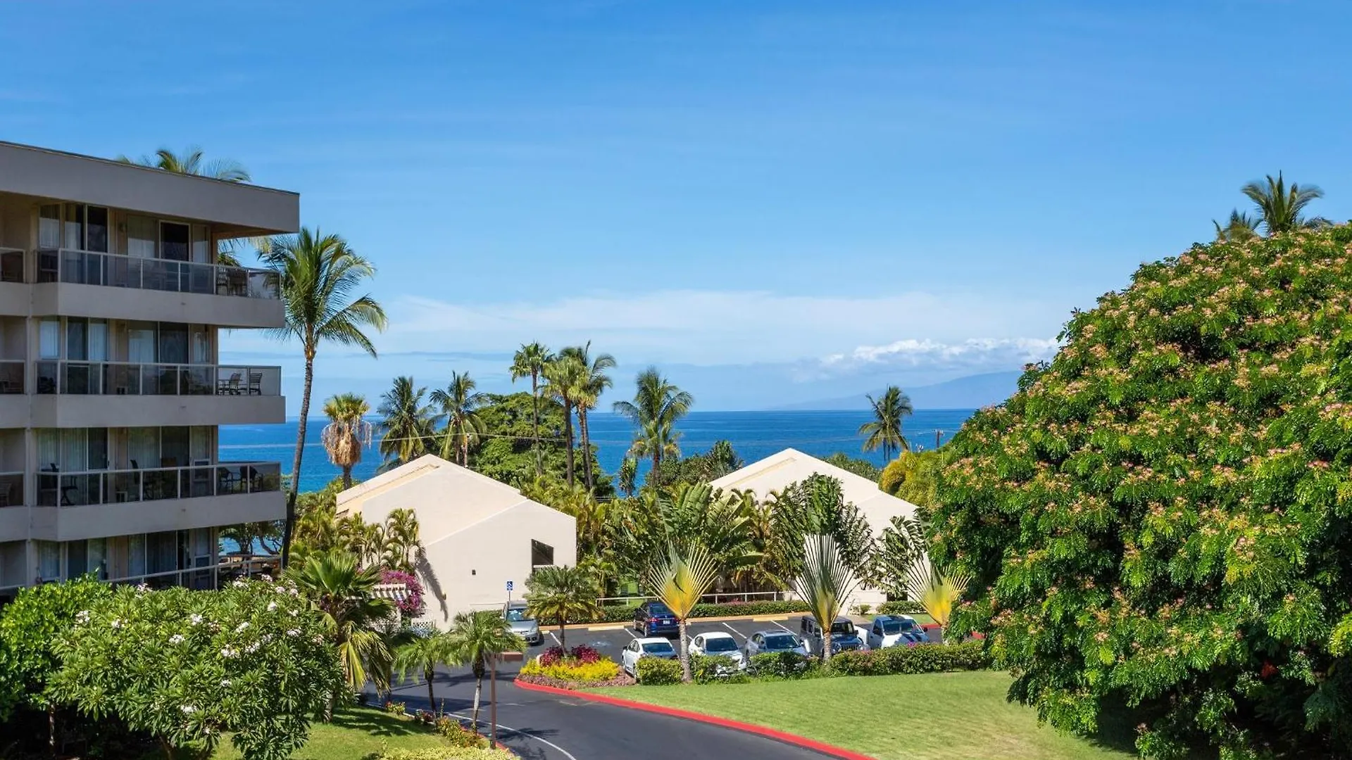 Maui Banyan H-210 *