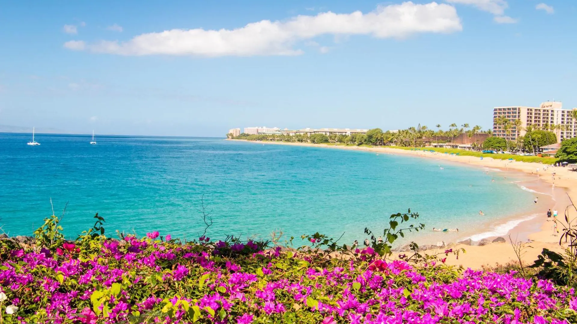 Oceanfront Views Above Dukes - Wrap Around Lanai - Outdoor Kitchen Honua Kai H351 度假居 拉海纳