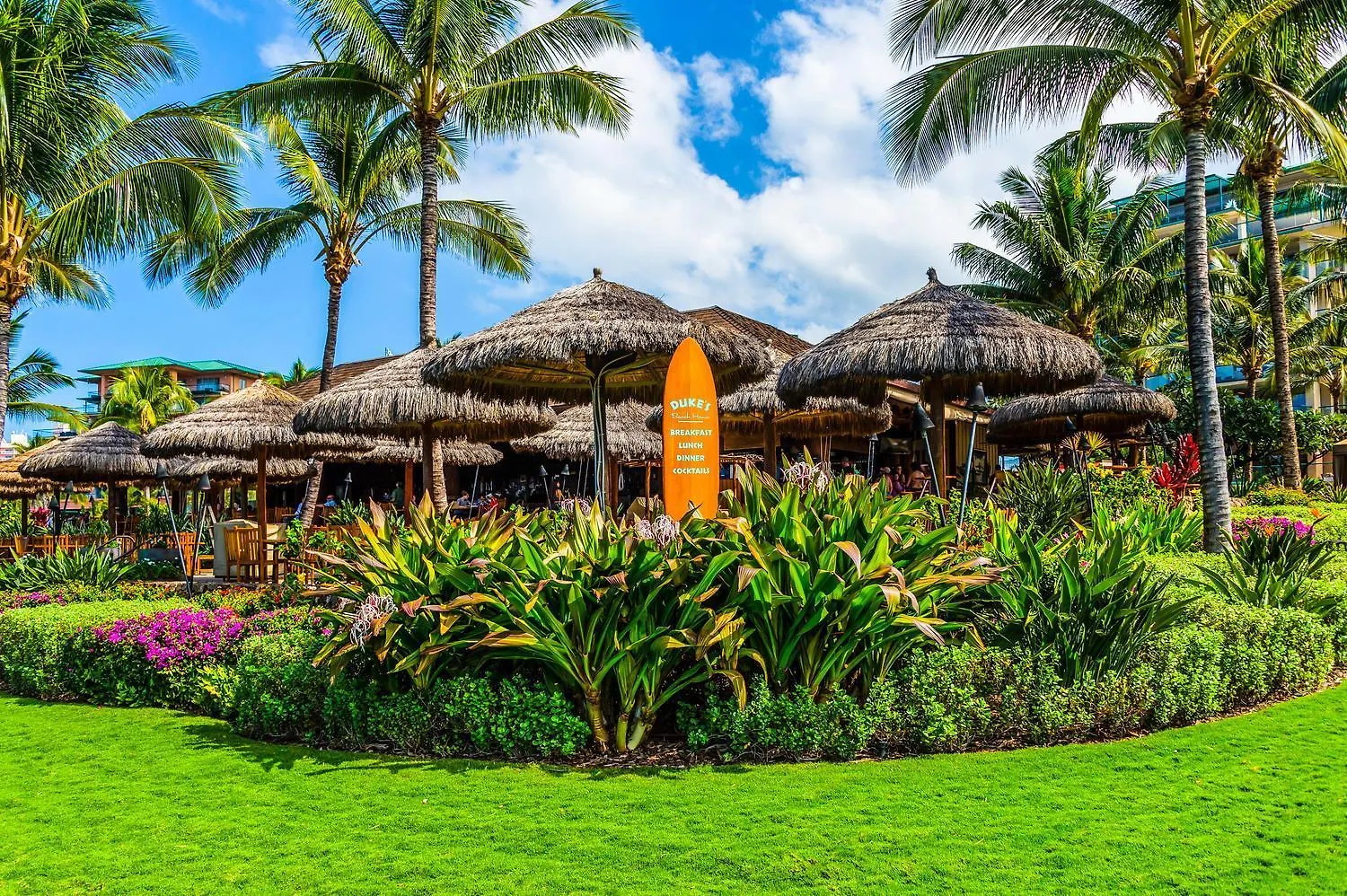 Oceanfront Views Above Dukes - Wrap Around Lanai - Outdoor Kitchen Honua Kai H351 拉海纳