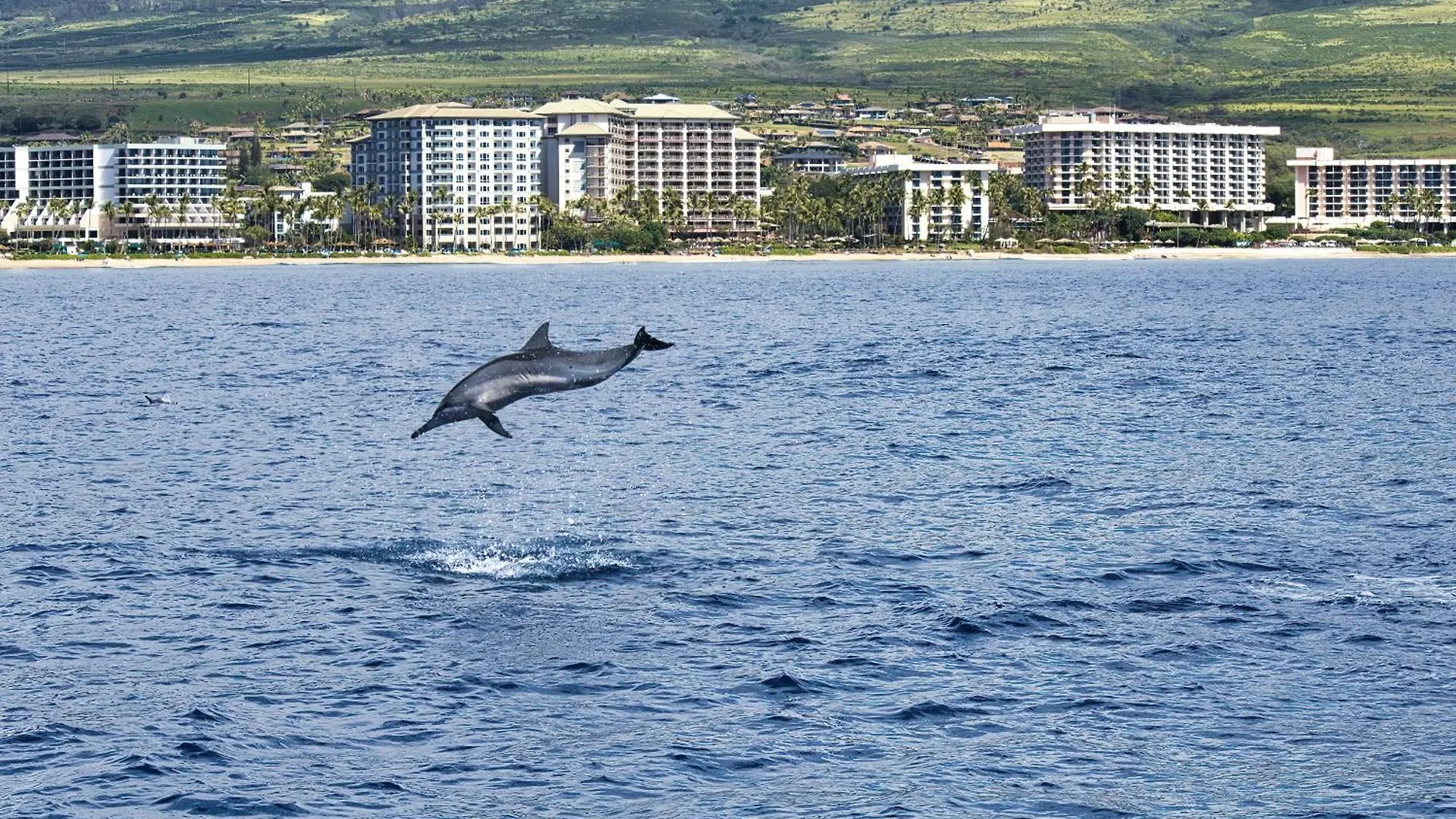 度假居 Oceanfront Views Above Dukes - Wrap Around Lanai - Outdoor Kitchen Honua Kai H351