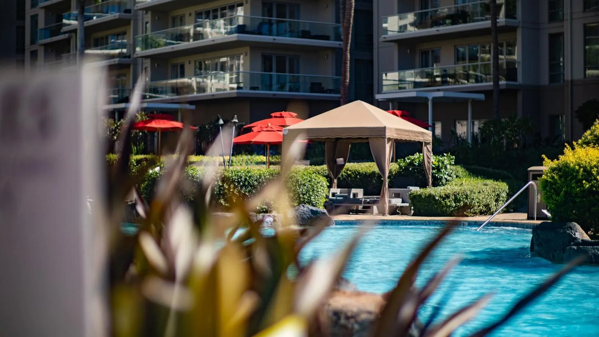 Oceanfront Views Above Dukes - Wrap Around Lanai - Outdoor Kitchen Honua Kai H351 * 拉海纳