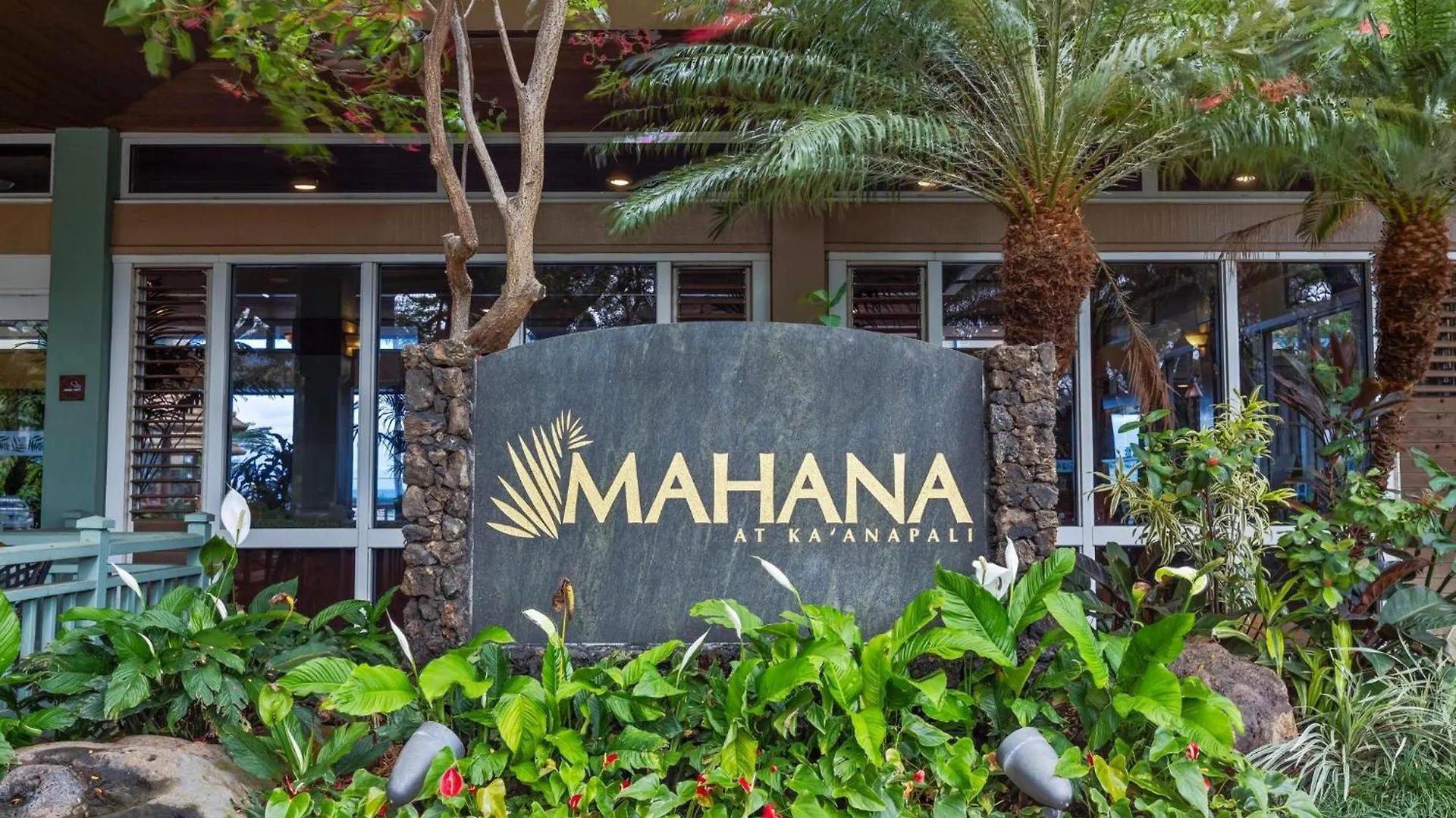Aston Mahana 1012