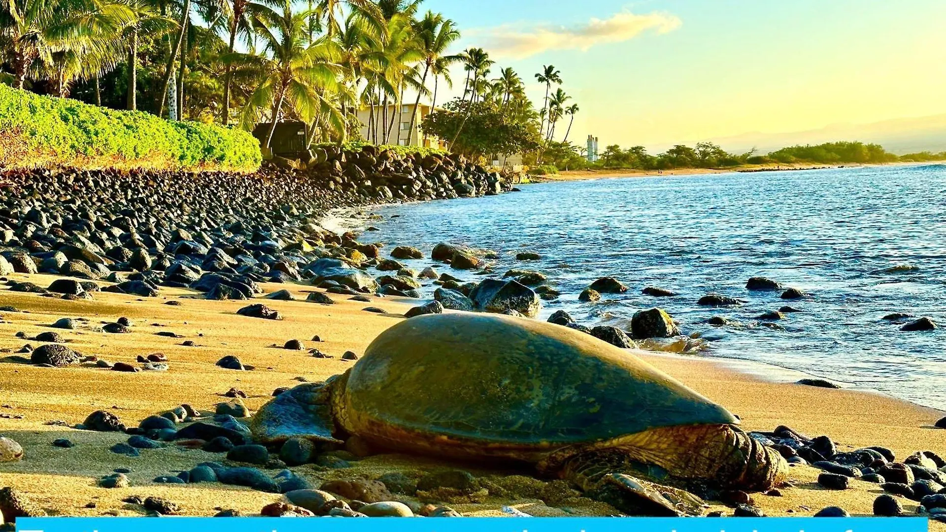 Maalaea Banyan 120 By Betterstay 度假居 Wailuku