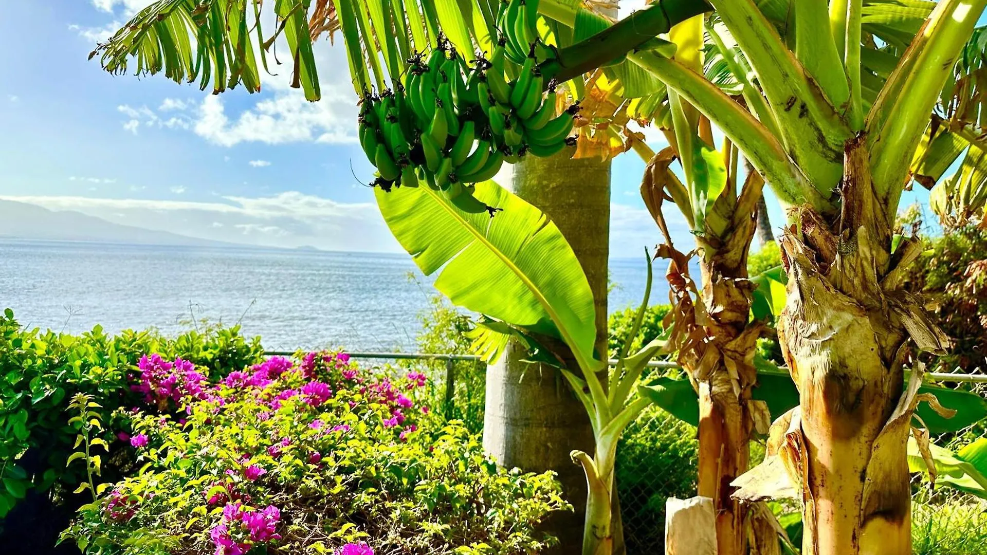 度假居 Maalaea Banyan 120 By Betterstay Wailuku