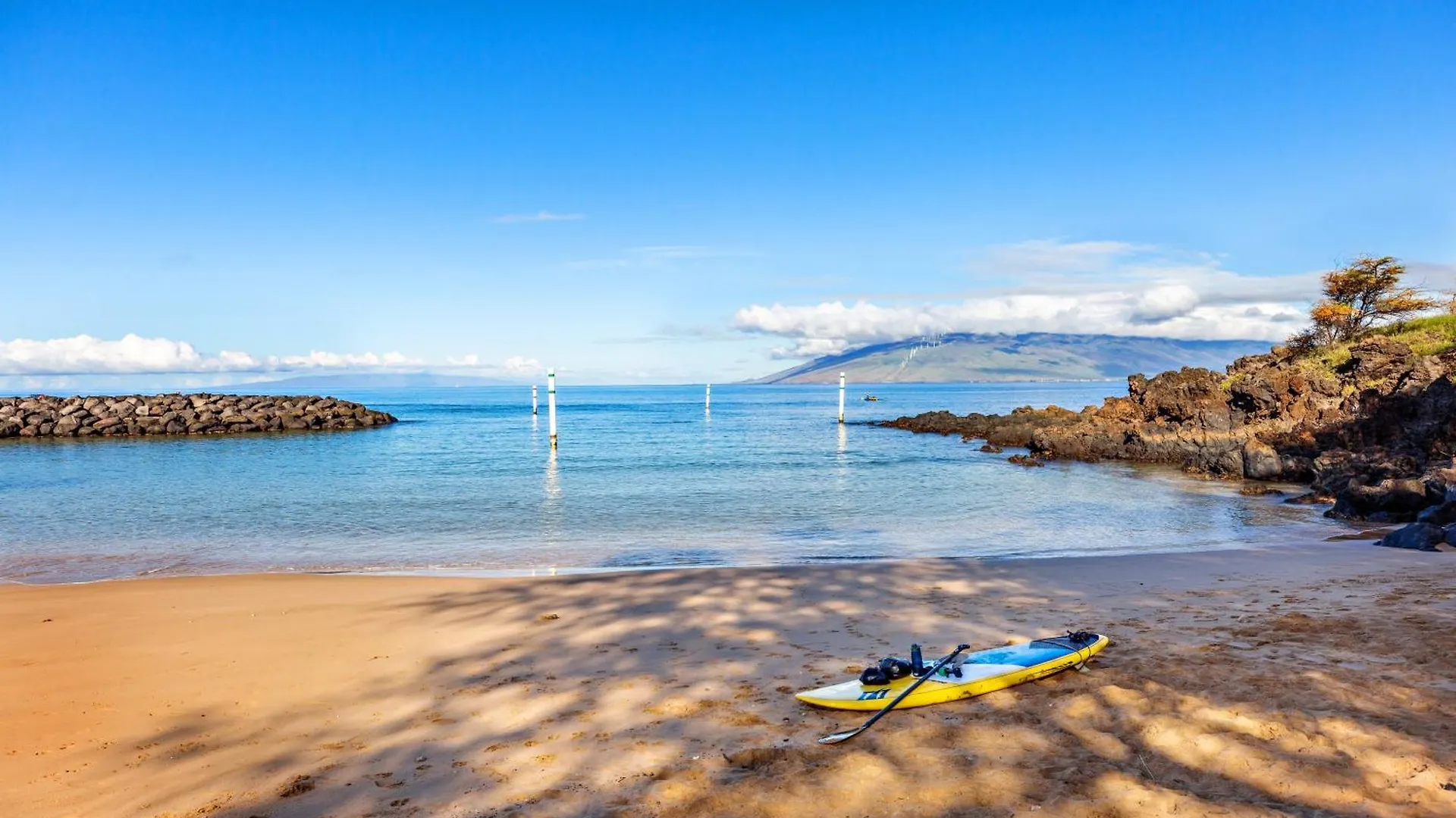 Maui Kamaole F209