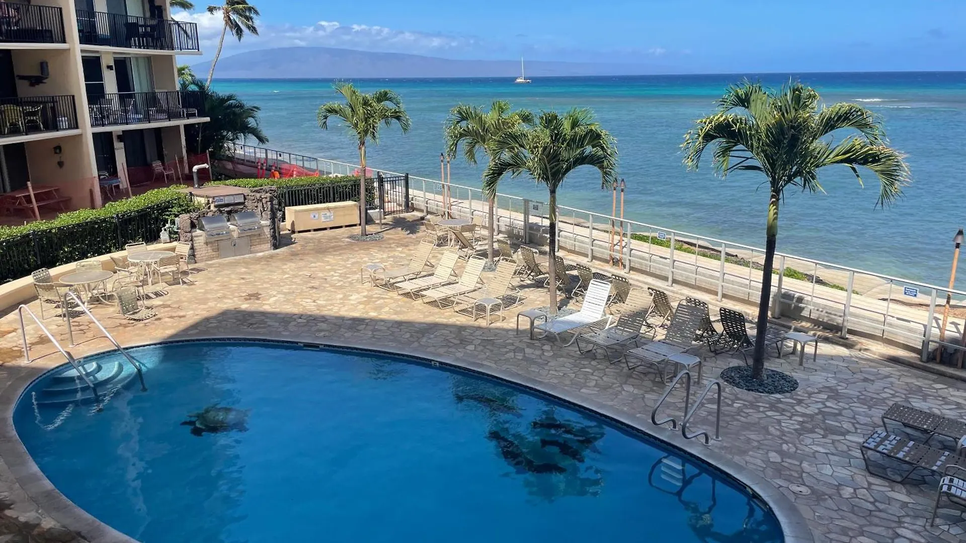 Whale Watching From The Lanai - Oceanfront In West Maui * Lahaina