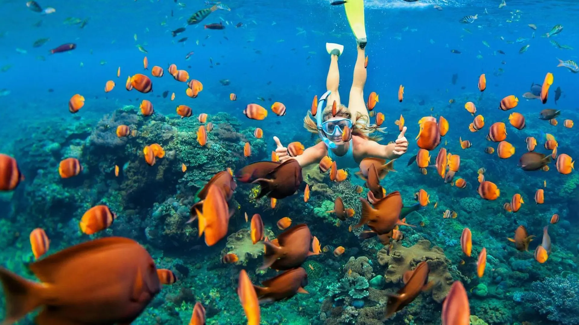 Hale Kamaole 171 Prázdninový dům Wailea (Maui)