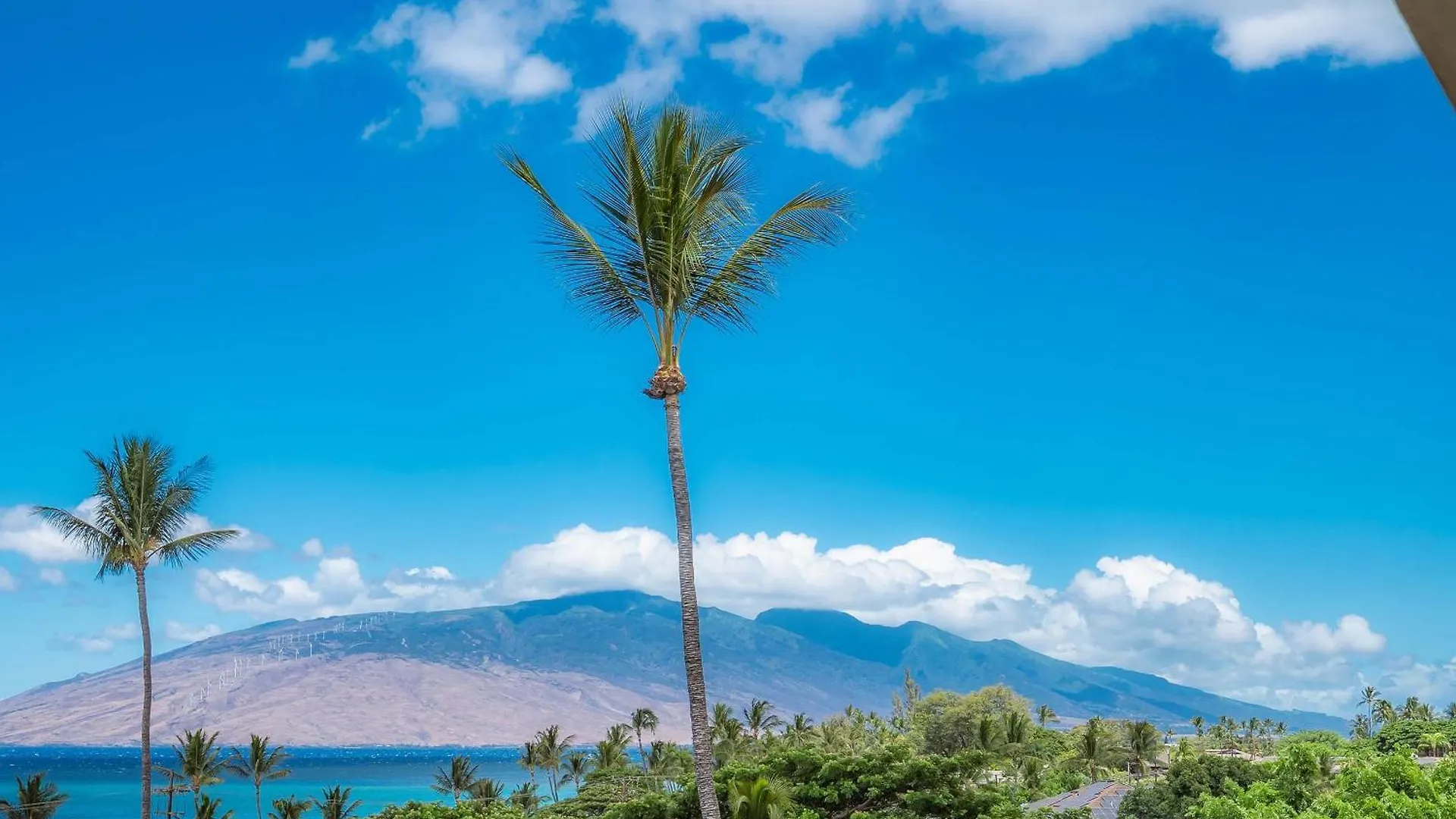 Kamaole Royale 404 *