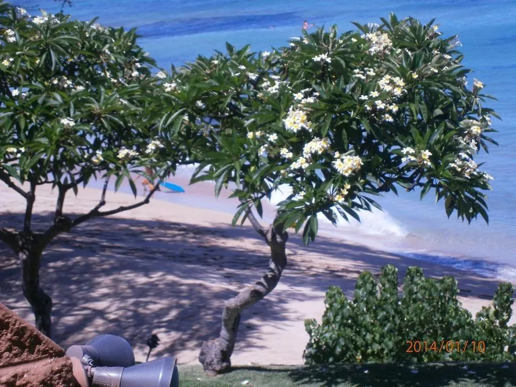 公寓 Largest One Bedroom At Kuleana - Oceanfront Unit!! 105 卡哈纳