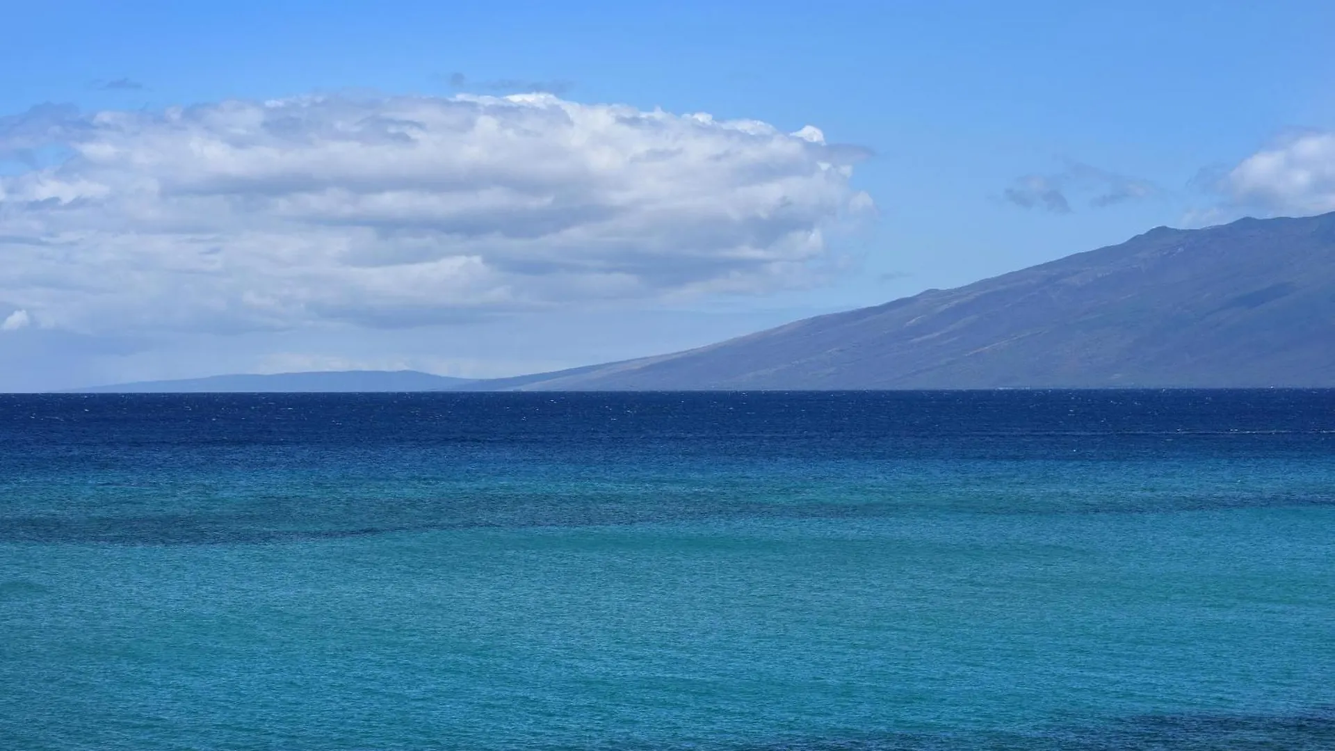 公寓 Largest One Bedroom At Kuleana - Oceanfront Unit!! 105