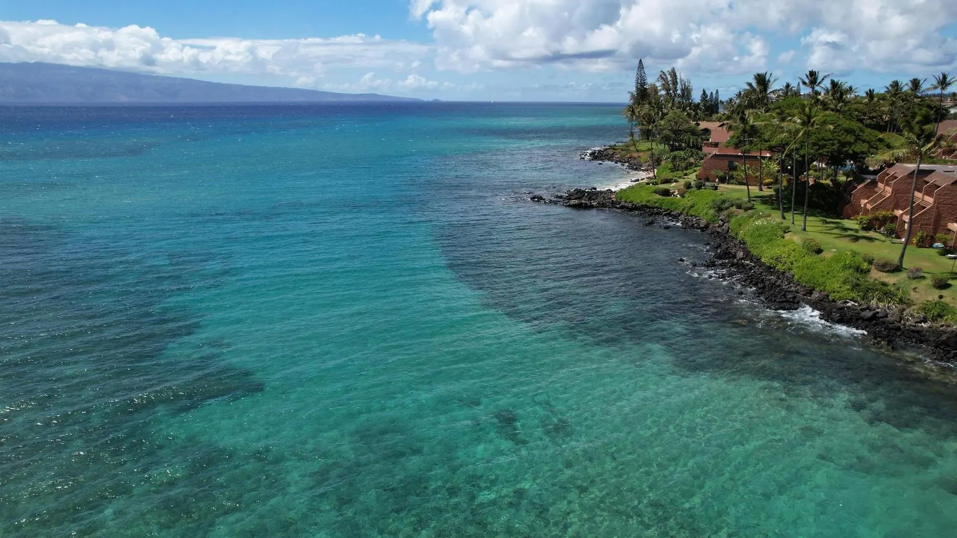 公寓 Largest One Bedroom At Kuleana - Oceanfront Unit!! 105 *