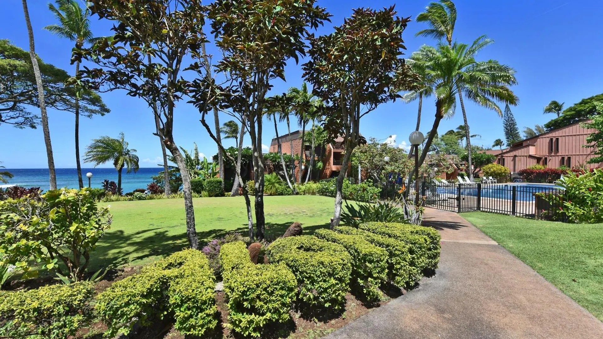 公寓 Largest One Bedroom At Kuleana - Oceanfront Unit!! 105