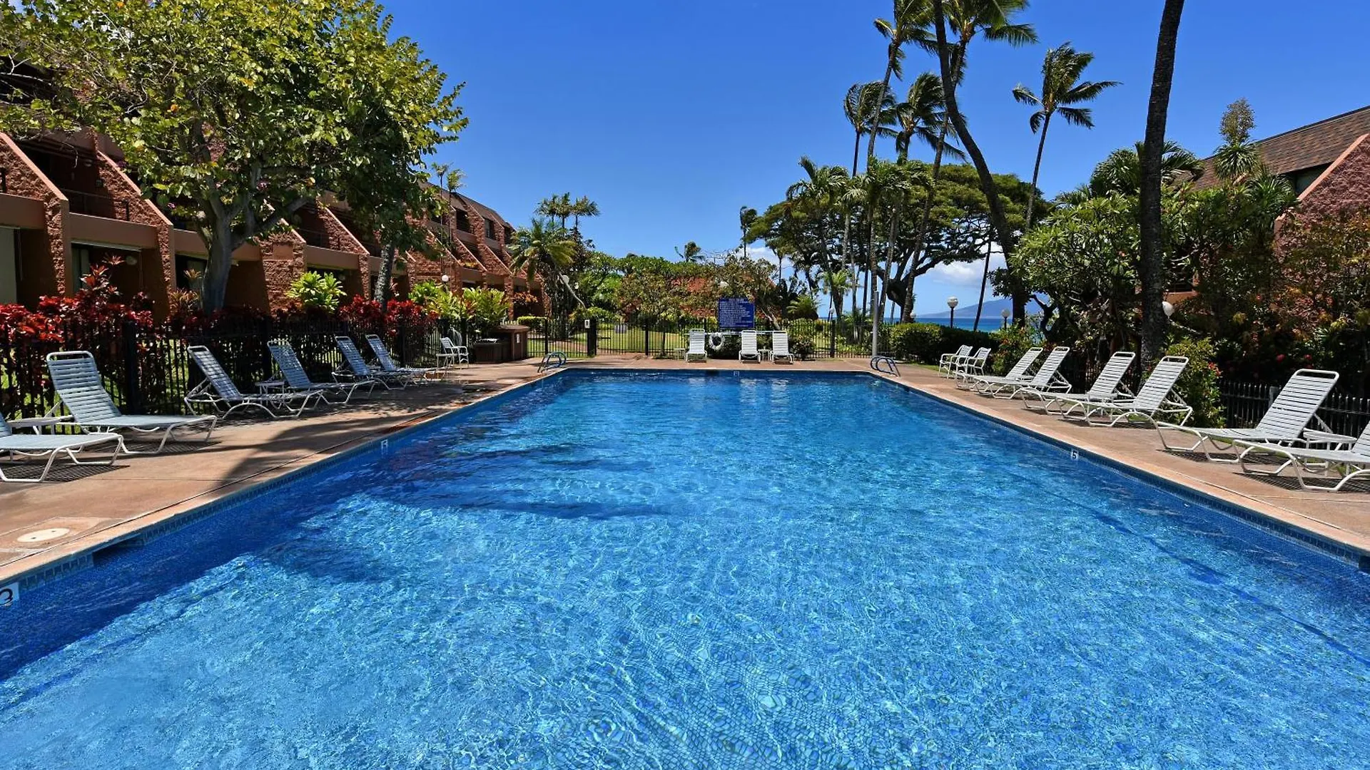 Largest One Bedroom At Kuleana - Oceanfront Unit!! 105 公寓 卡哈纳