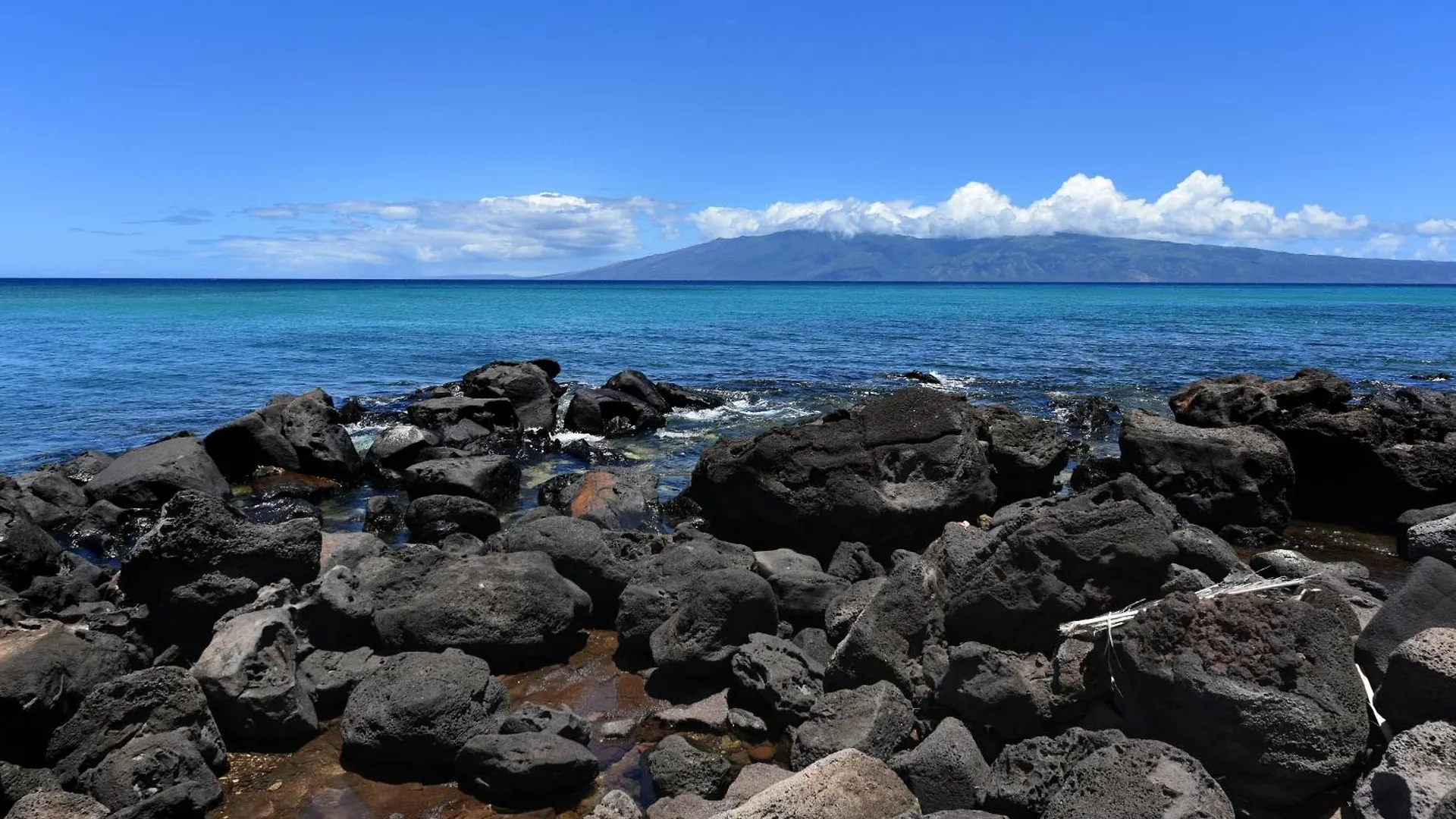 Largest One Bedroom At Kuleana - Oceanfront Unit!! 105