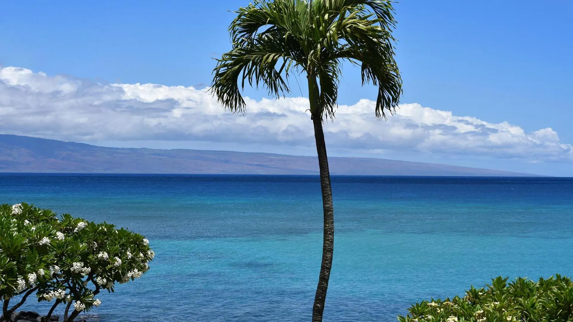 Largest One Bedroom At Kuleana - Oceanfront Unit!! 105 公寓