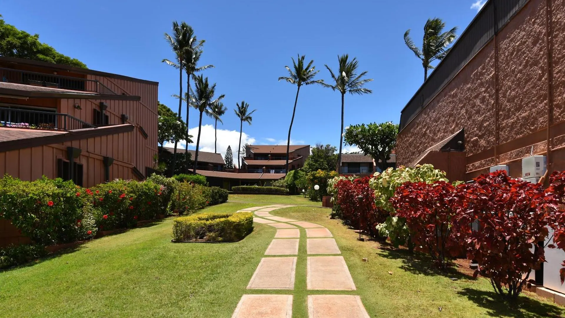 Largest One Bedroom At Kuleana - Oceanfront Unit!! 105 公寓