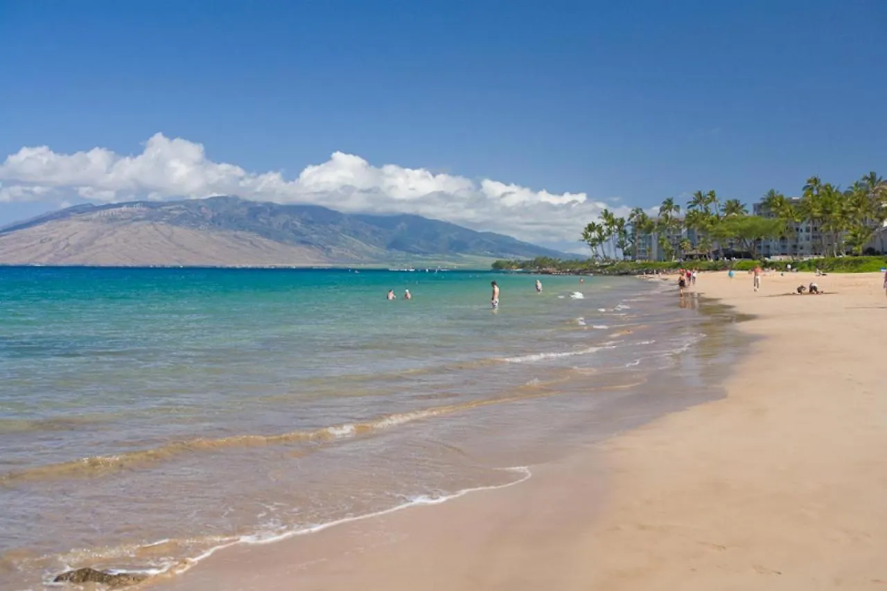 Akahi D208 - Mch Kihei