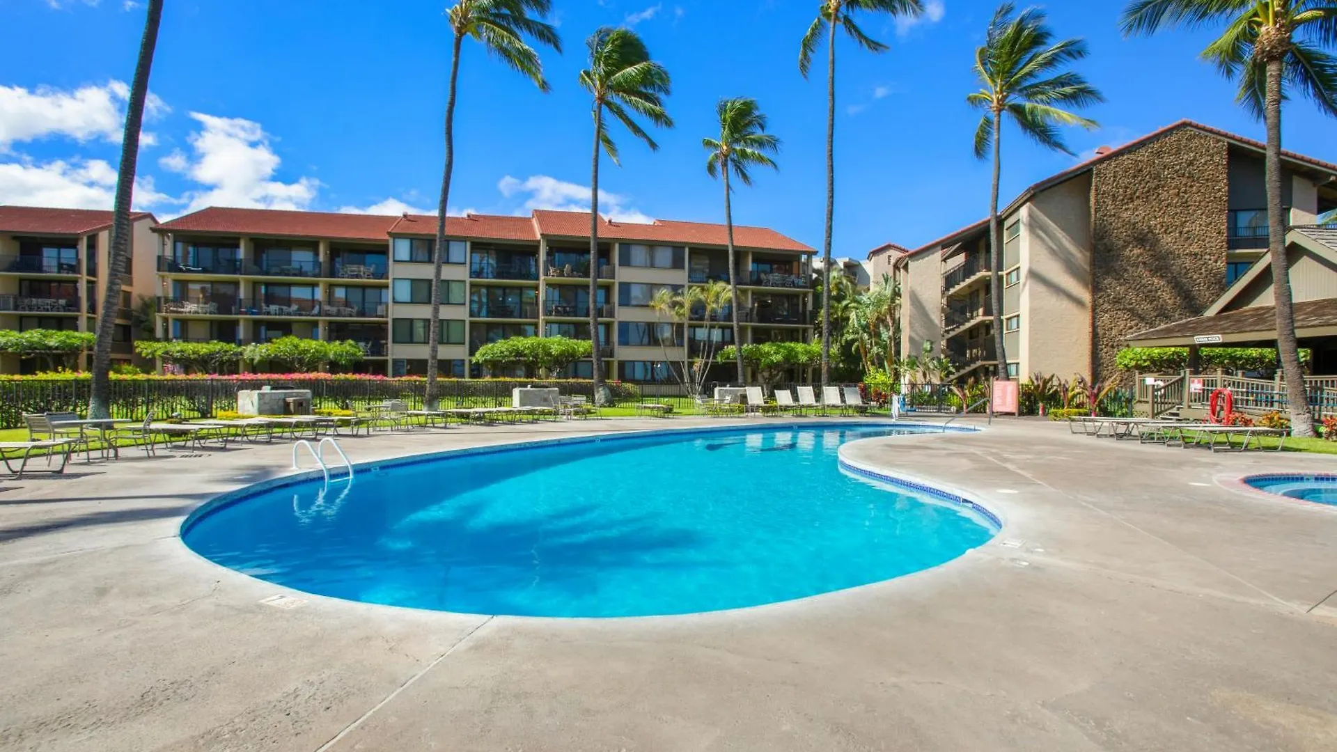 Papakea K301 - 1br Ocean View With Free Parking! Apartment
