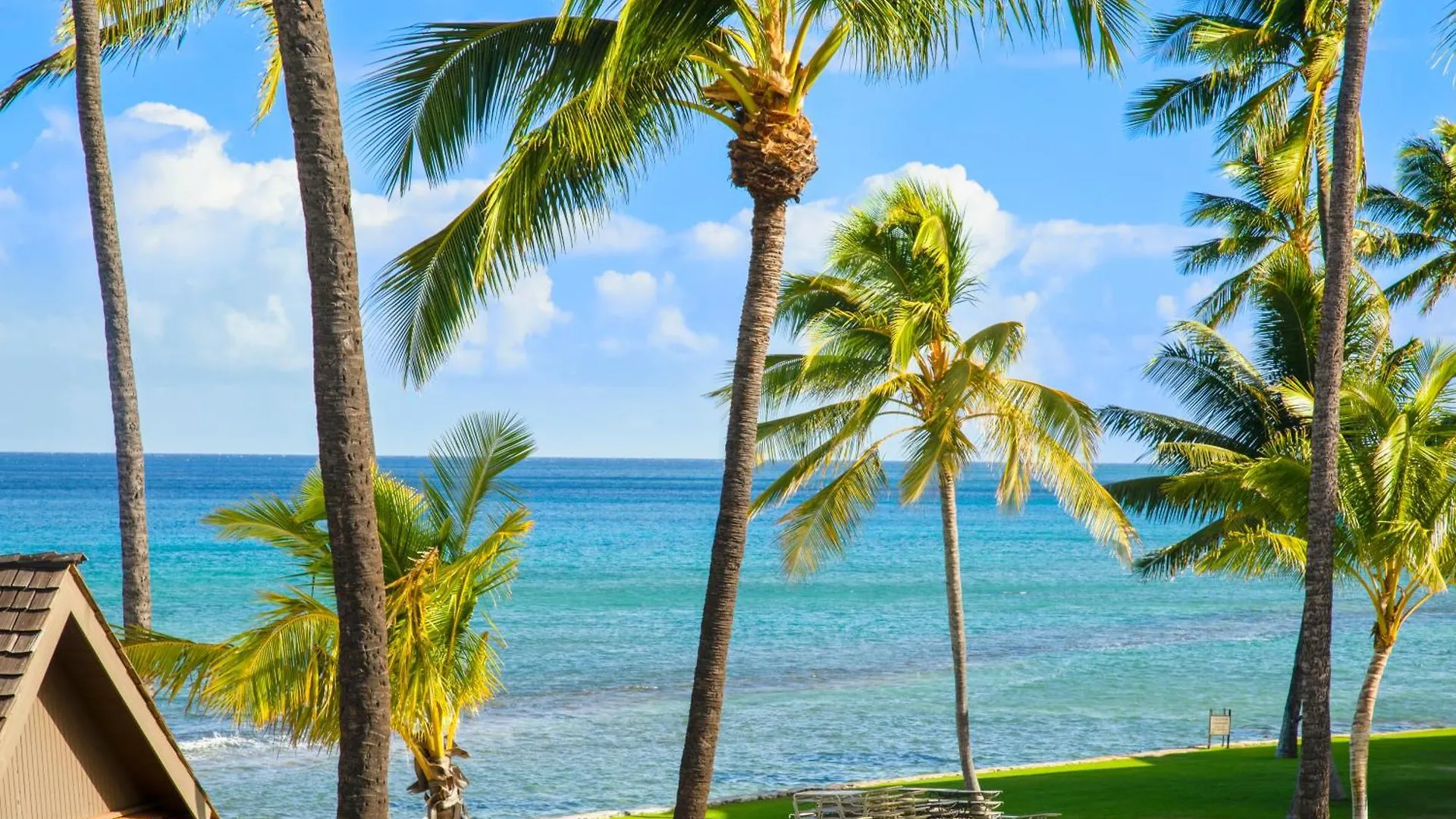 Papakea K301 - 1br Ocean View With Free Parking! * Kahana
