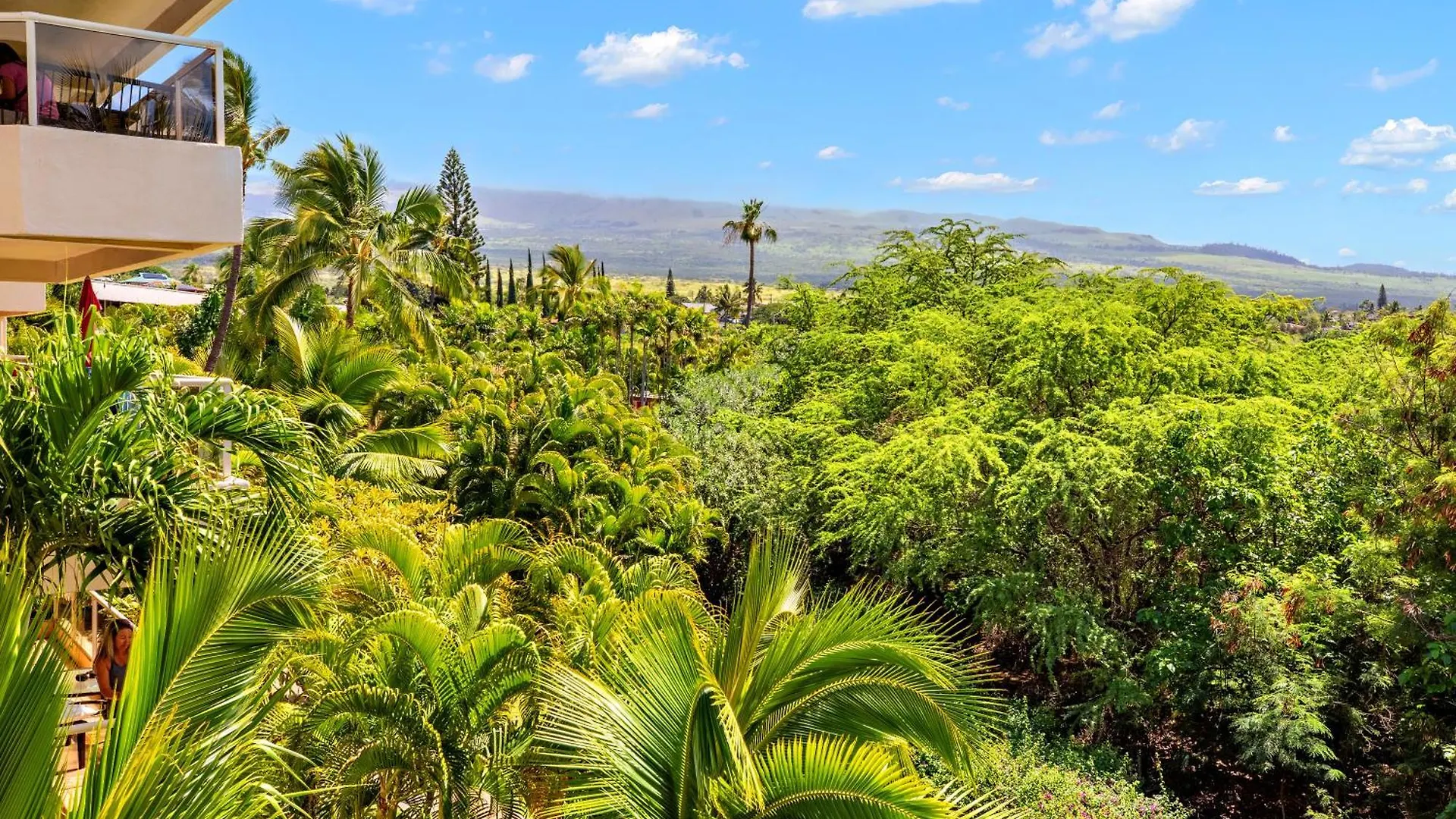 Ob - Maui Banyan P409