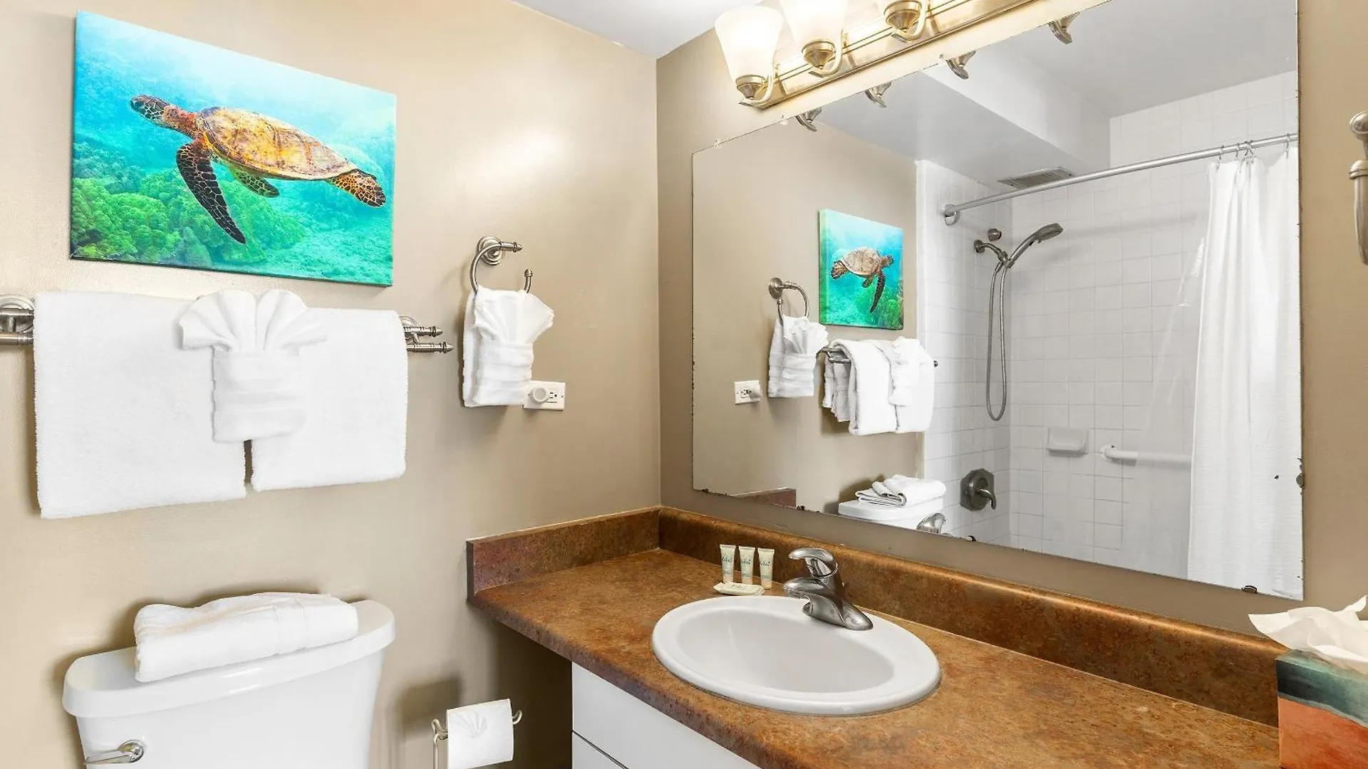 Mana Kai 314 Semesterbostad Wailea (Maui)