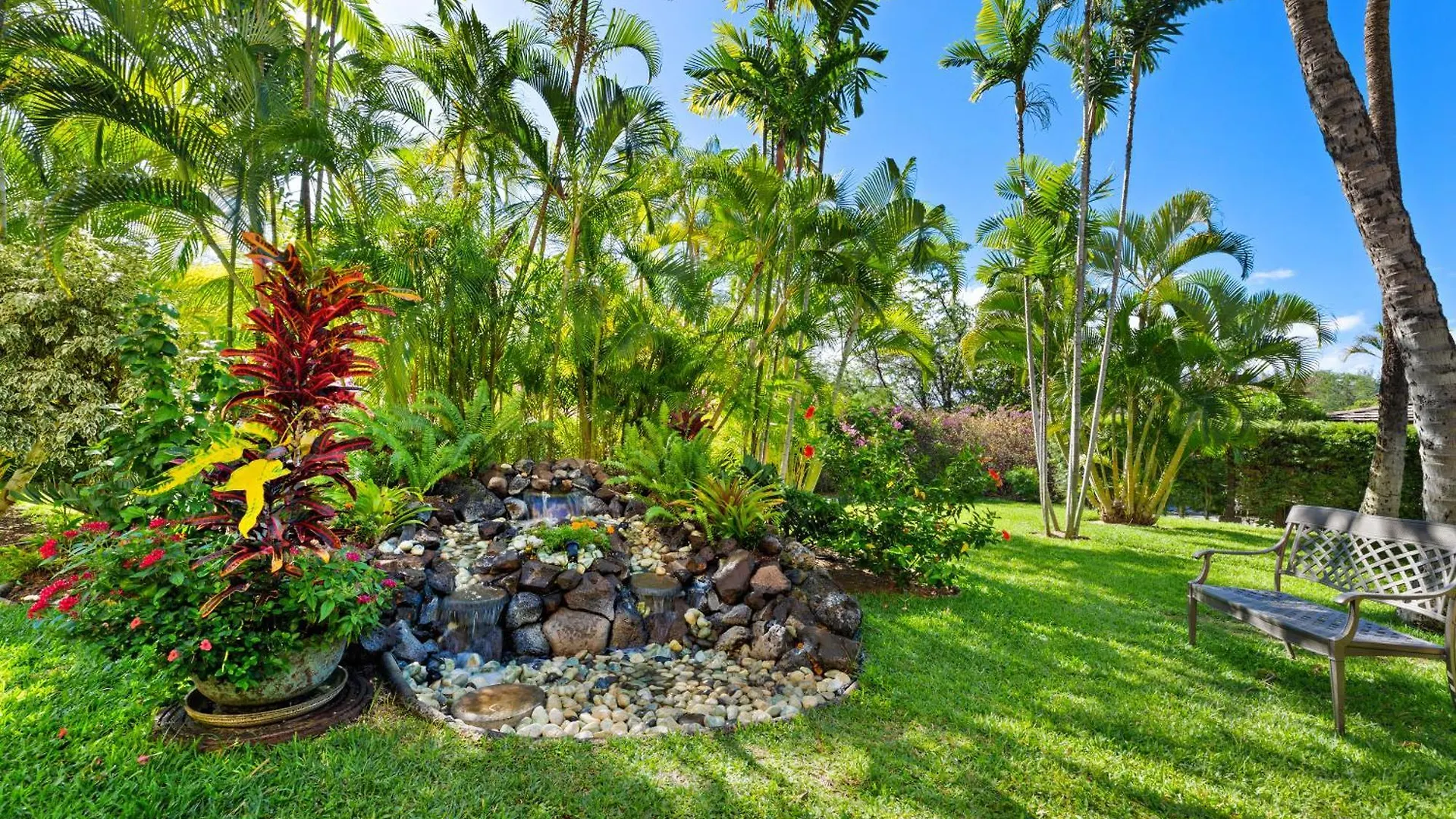 Maui Banyan P409a