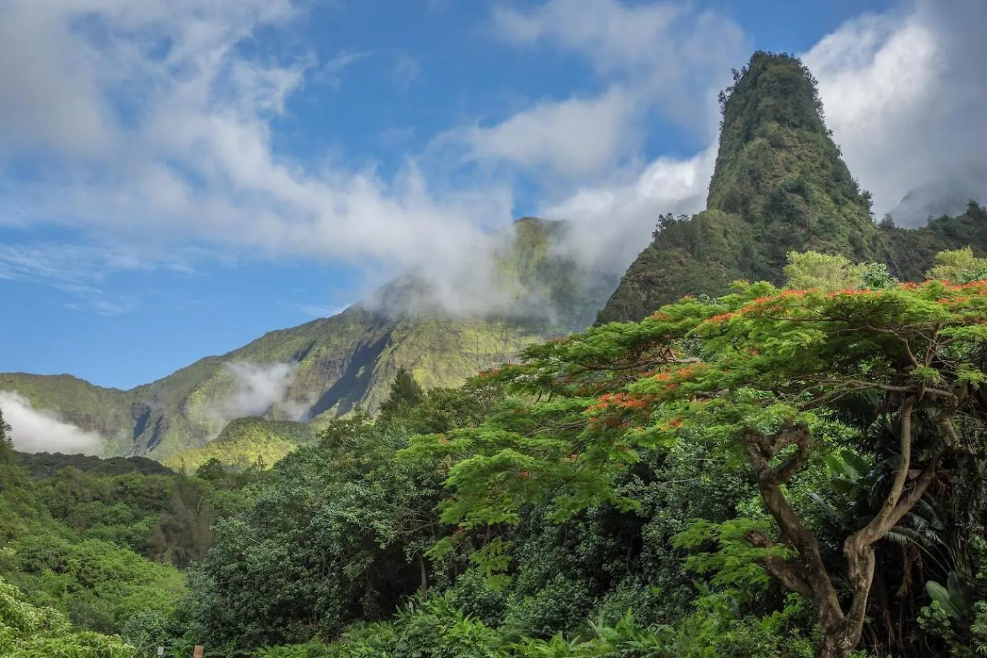 Apartment Yonegan Maui Getaways Wailuku