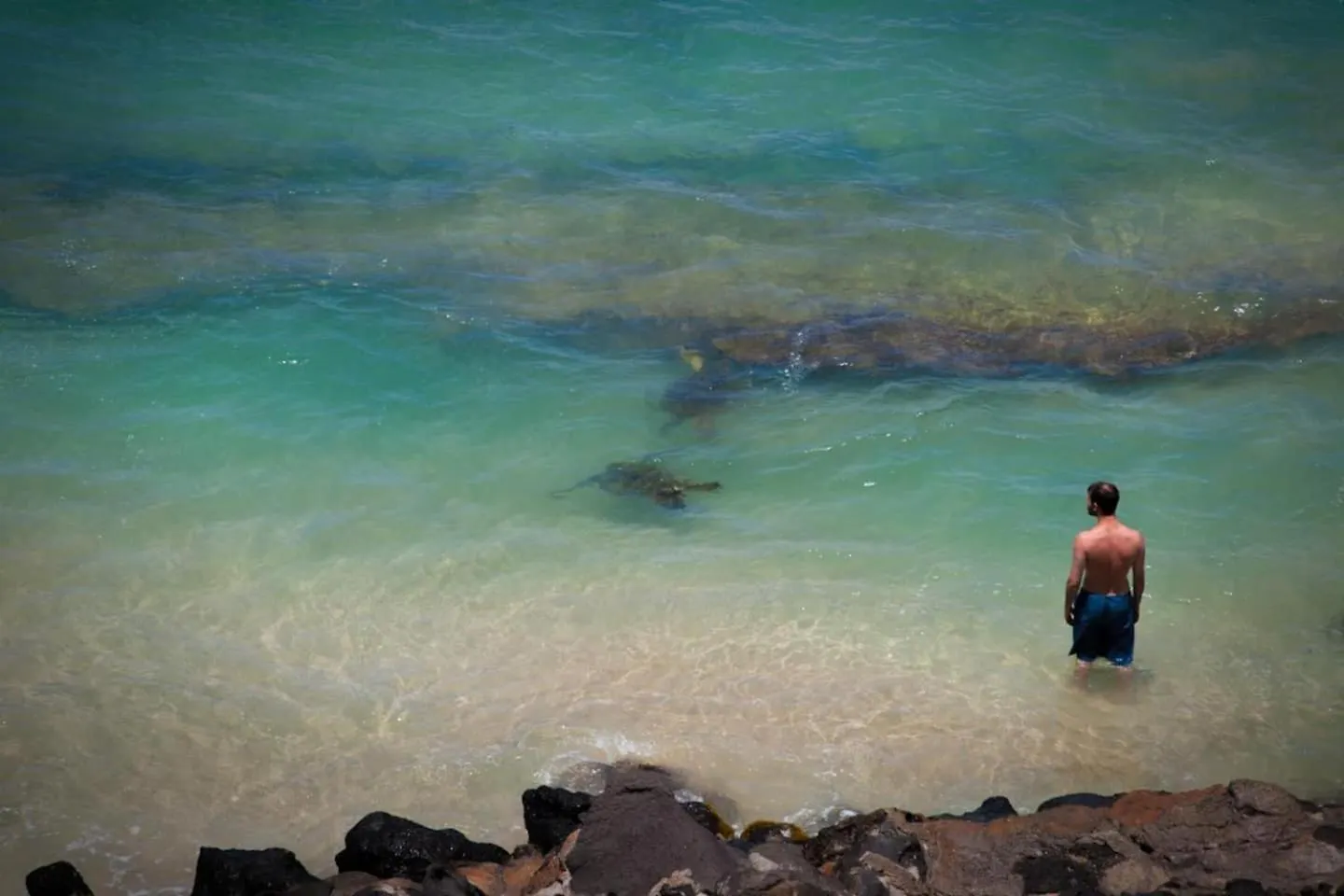 Yonegan Maui Getaways * Wailuku