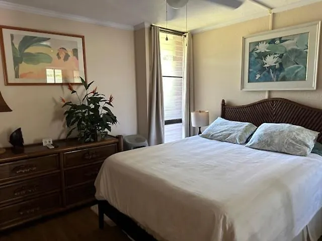 Apartment Maui Vista. 1 Bedroom Fully Furnished Across From Kam 1 Beach. Walking Distance To Restaurants And Shops. *