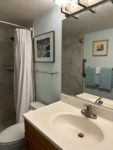 Apartment Maui Vista. 1 Bedroom Fully Furnished Across From Kam 1 Beach. Walking Distance To Restaurants And Shops. Kihei