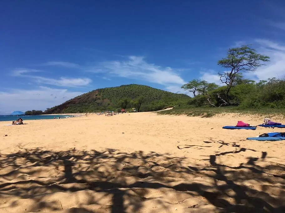 Apartment Maui Vista. 1 Bedroom Fully Furnished Across From Kam 1 Beach. Walking Distance To Restaurants And Shops. *